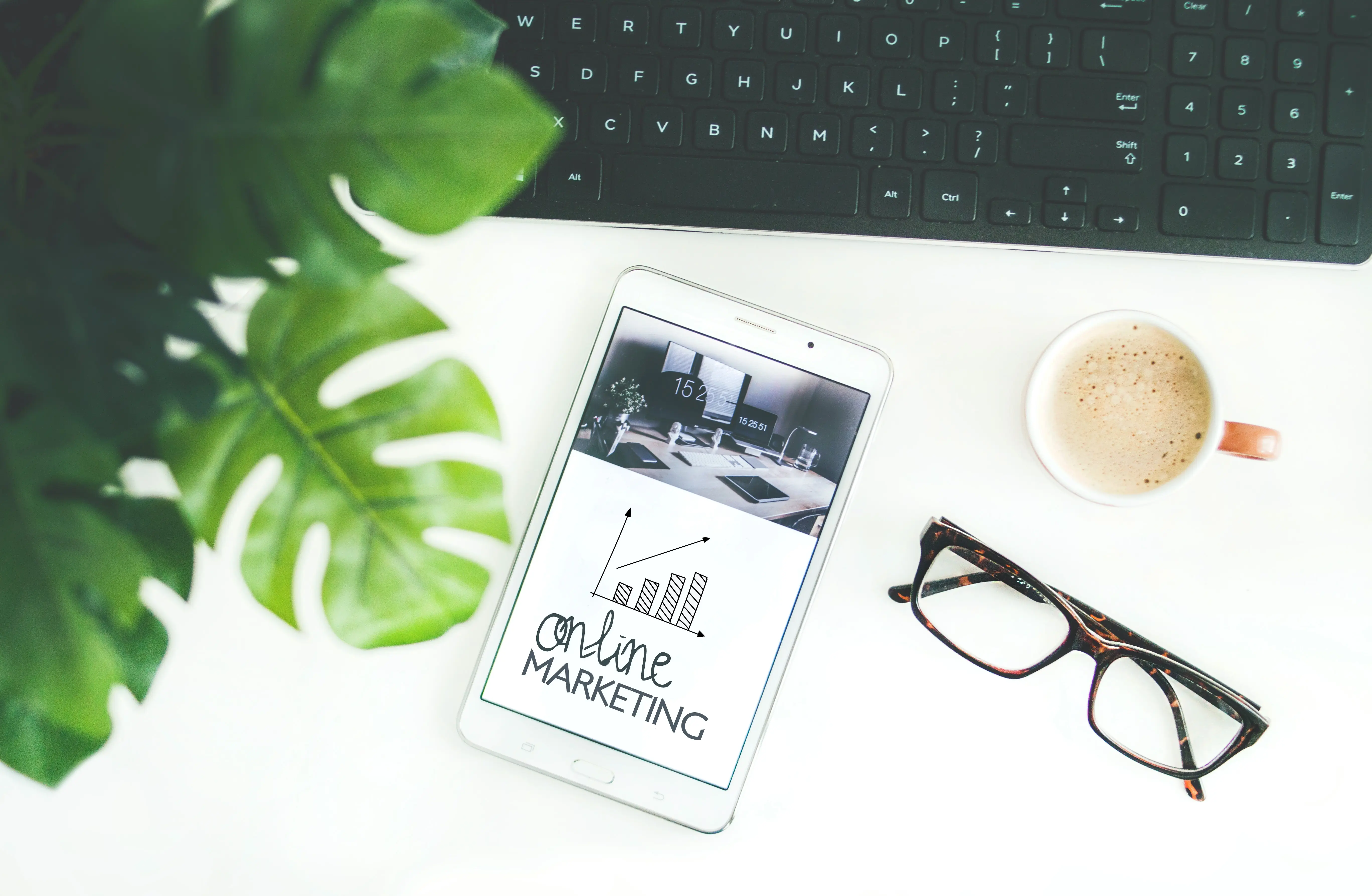 ChainElevate brings a whole new gamut of services in the Marketing and Ed-tech industry