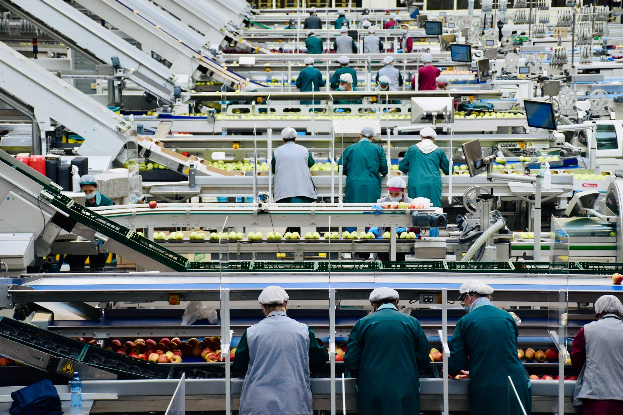 workers doing a QC to fruits for packaging